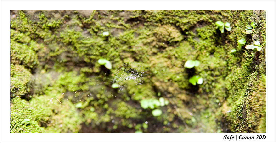 2006 - 07 - Temple angkor - Phrea Khan 19